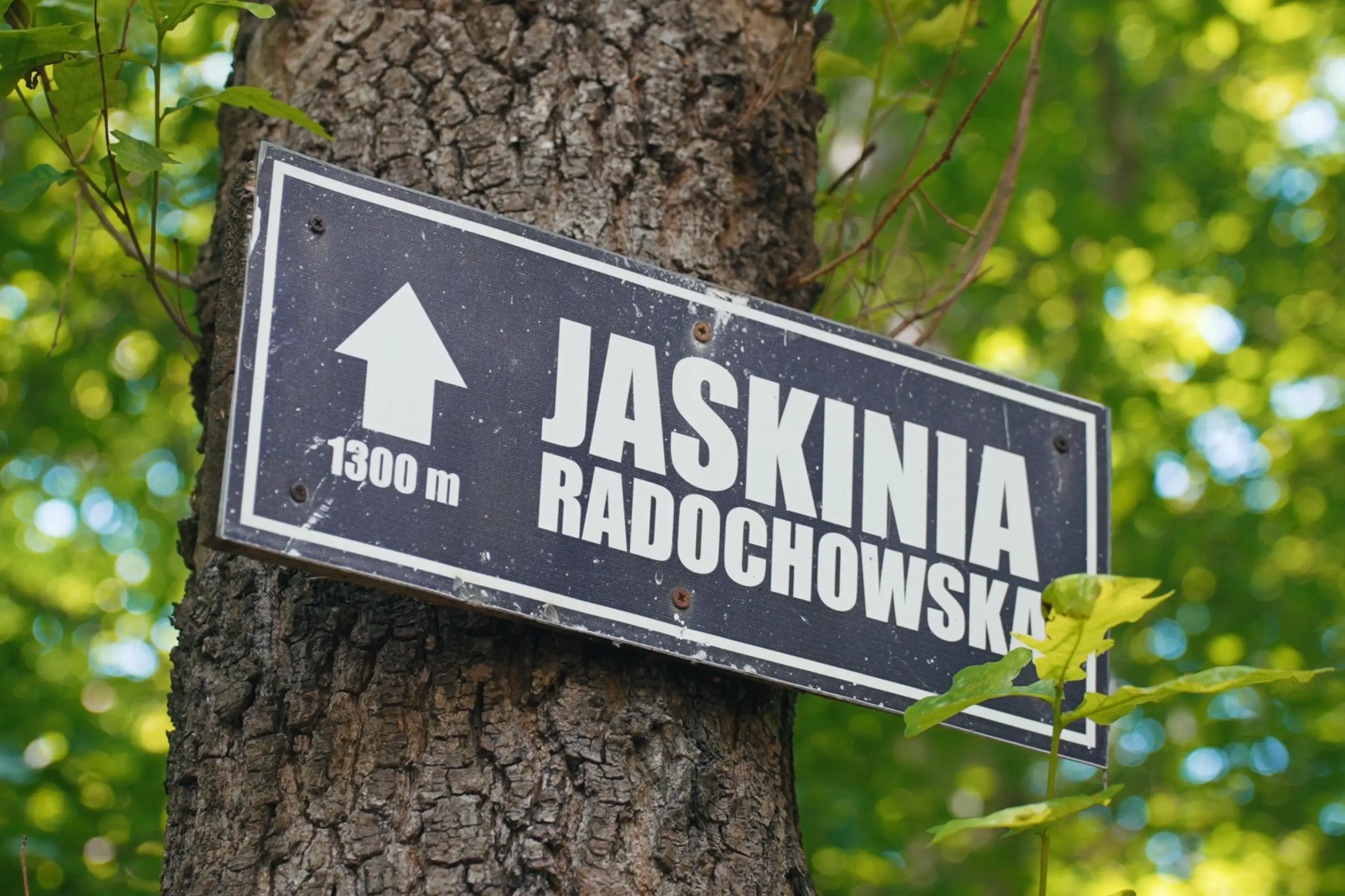 Jaskinia Radochowska