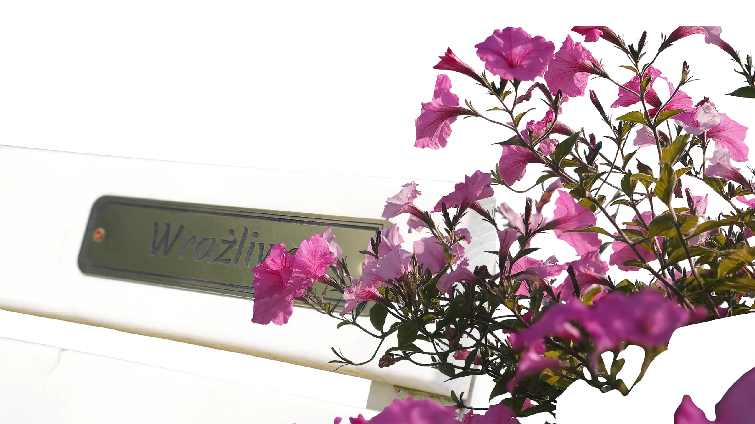 Obraz w tle pokazujący ławkę w Lądku-Zdroju